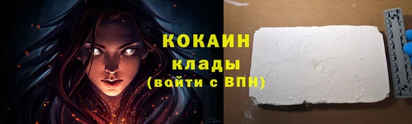 стаф Михайловск