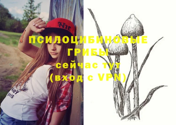 ALPHA-PVP Михайлов
