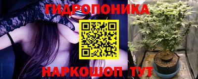 стаф Балаково