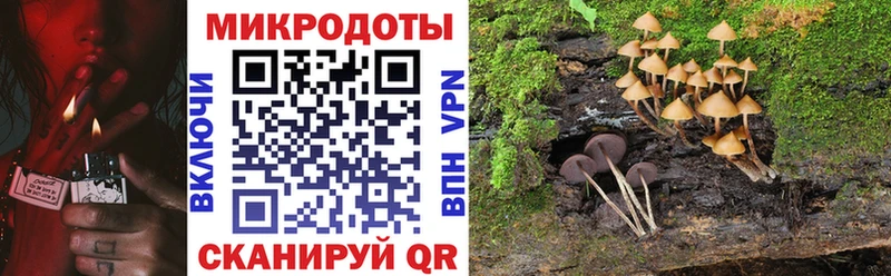 Галлюциногенные грибы Psilocybine cubensis  omg сайт  Белебей 