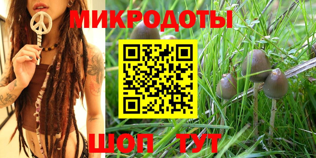 Белебей  Псилоцибиновые грибы GOLDEN TEACHER  Вход с VPN 