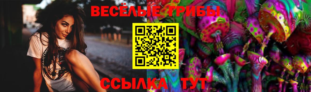 Галлюциногенные грибы Psilocybine cubensis Белебей