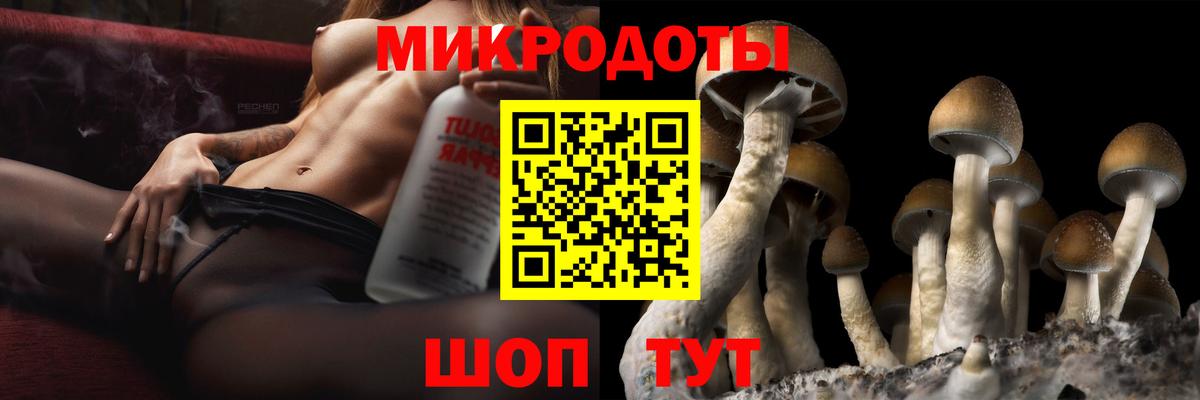 Галлюциногенные грибы Cubensis  Белебей  Псилоцибиновые грибы MAGIC MUSHROOMS 